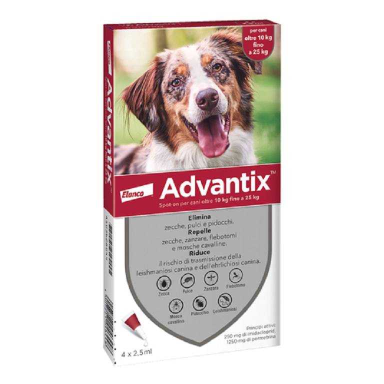 ADVANTIX SPOT ON*4PIP 10-25KG