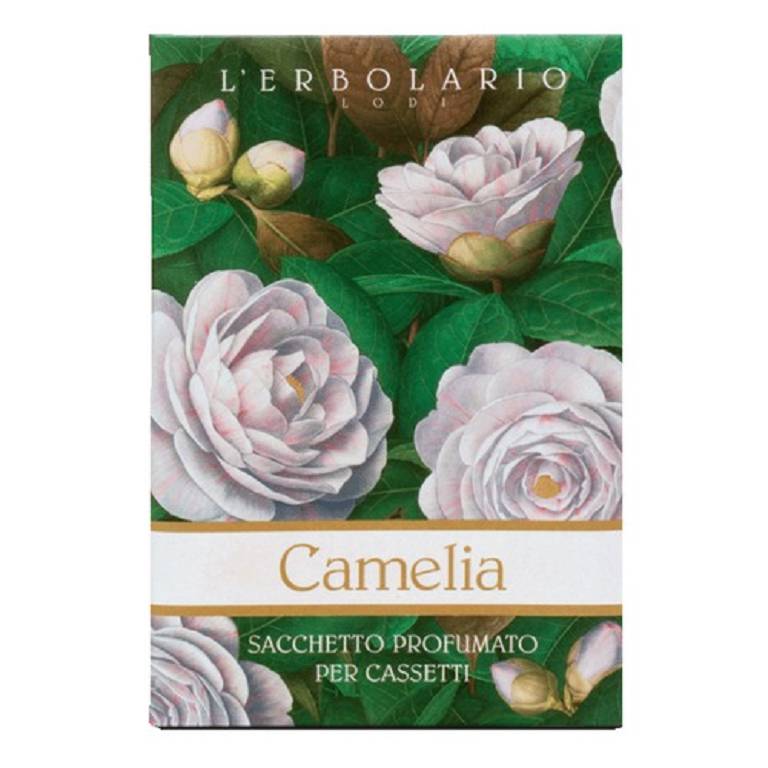 CAMELIA SACCHETTO PROF CASS