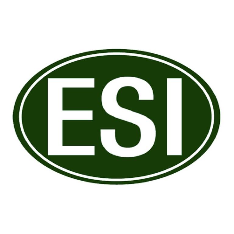 ESI ARTIGLIO DIAVOLO GEL 100ML